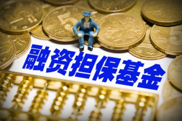 “新产品”来了公募基金组团自购！有何挑战？