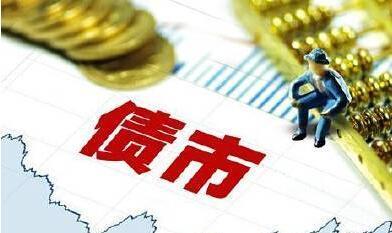 江苏华辰： 江苏华辰向不特定对象发行可转换公司债券网上中签率及优先配售结果公告内容摘要